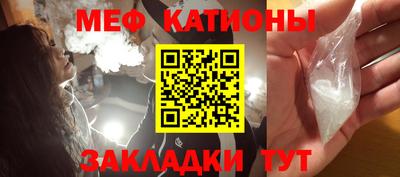 шишки Заводоуковск