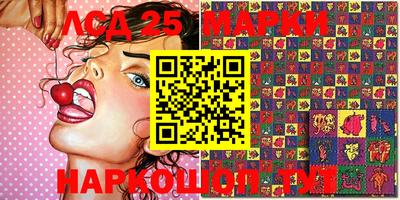 шишки Заводоуковск