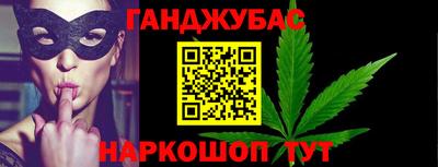 шишки Заводоуковск