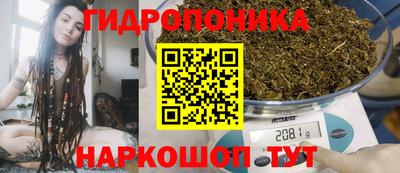шишки Заводоуковск