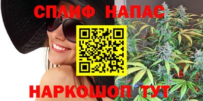 шишки Заводоуковск