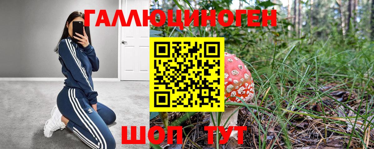 Людиново  Псилоцибиновые грибы Magic Shrooms  Галлюциногенные грибы Psilocybe  хочу наркоту  Вход с VPN 