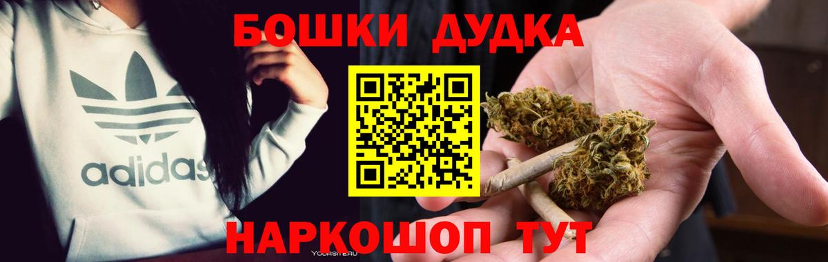 Бошки Шишки план Людиново