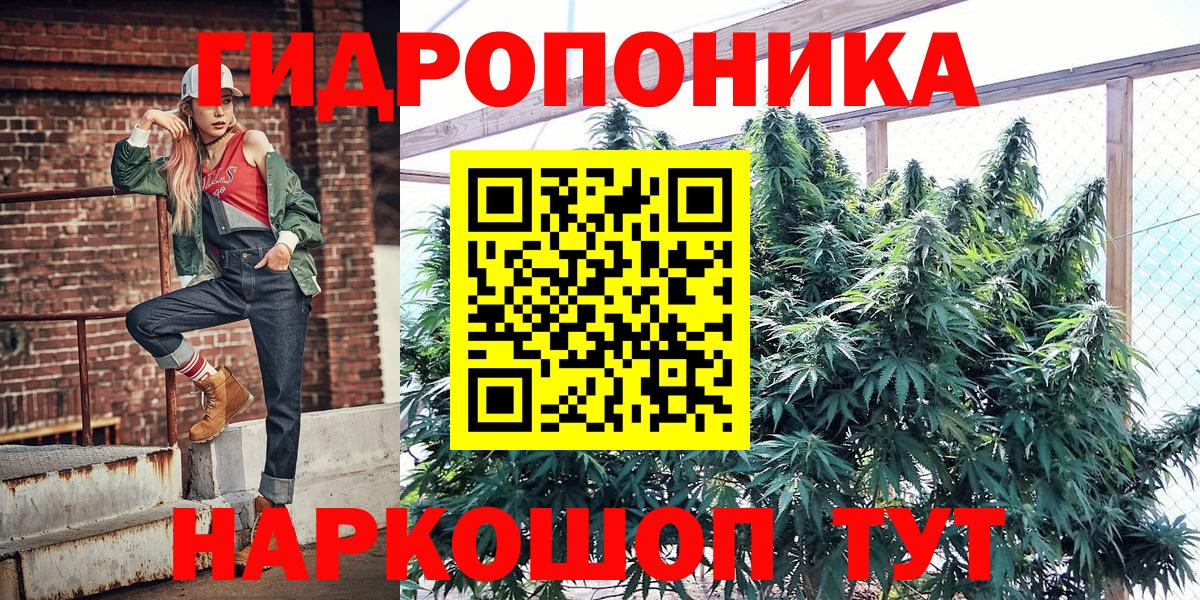 Марихуана ГИДРОПОН  Вход с VPN  Людиново  Каннабис семена  Конопля Amnesia  Бошки марихуана AK-47 